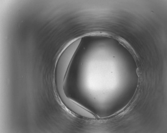 X0000058120860200509301925