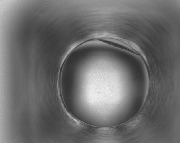 X0000058120863200509301925