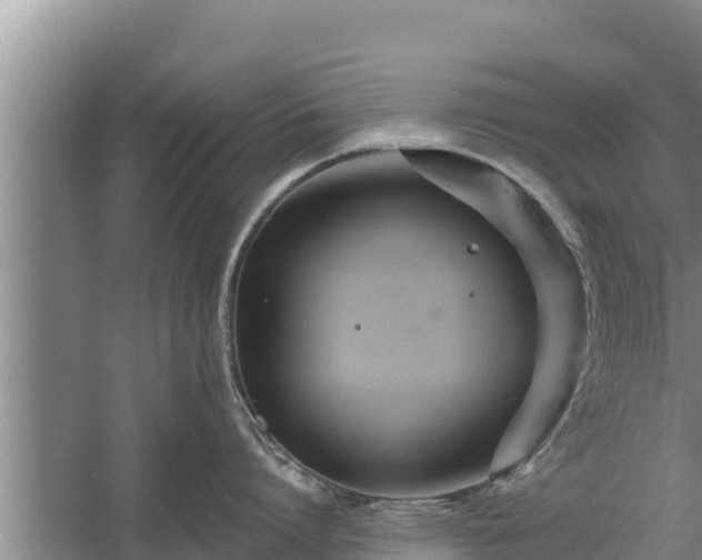 X0000058120864200509301925