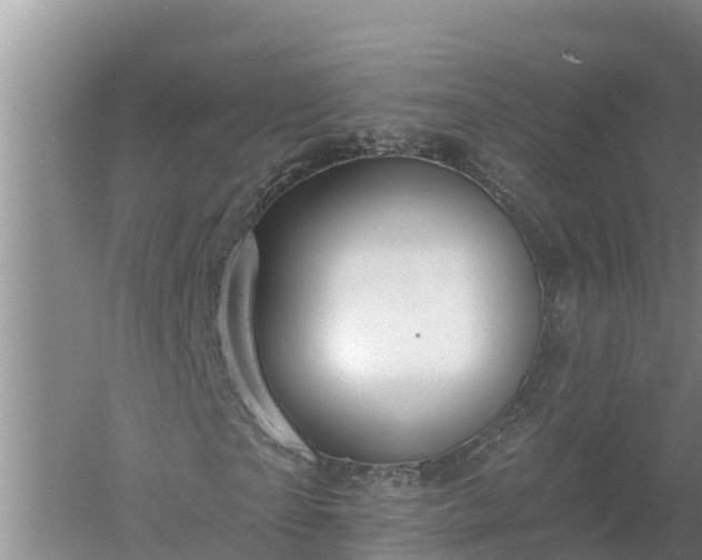 X0000058120865200509301924