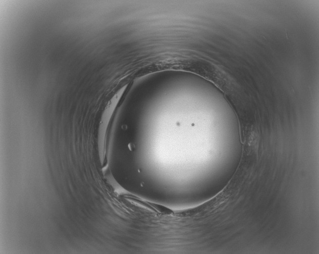 X0000058120868200509301924