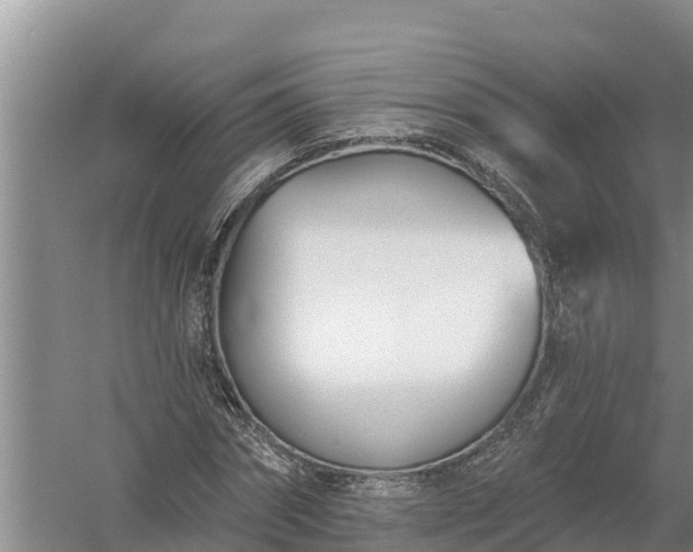 X0000058120874200509301924