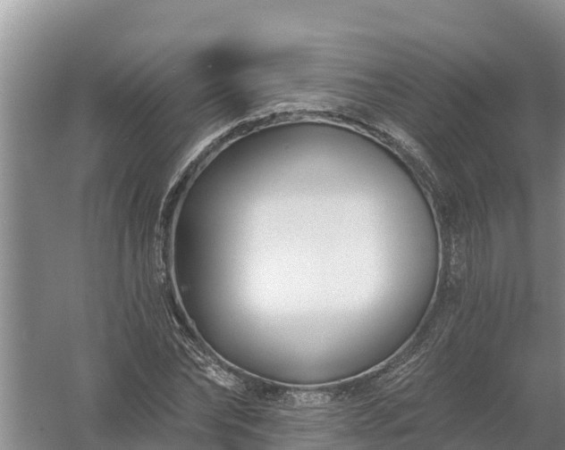 X0000058120878200509301924