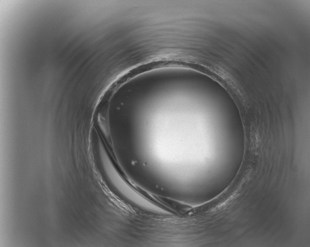 X0000058120880200509301924