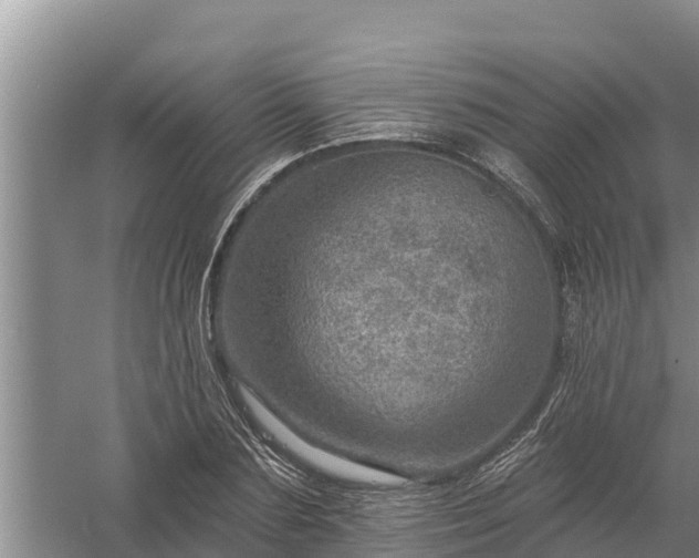 X0000058120883200509301924