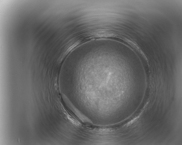 X0000058120889200509301924