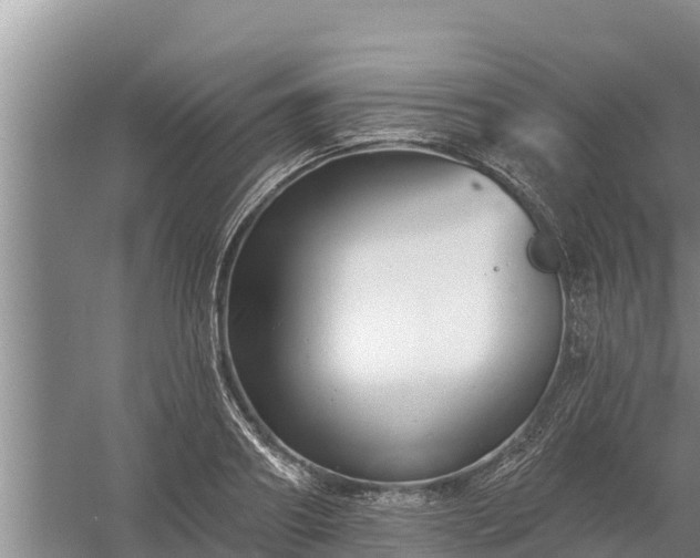 X0000058120890200509301924