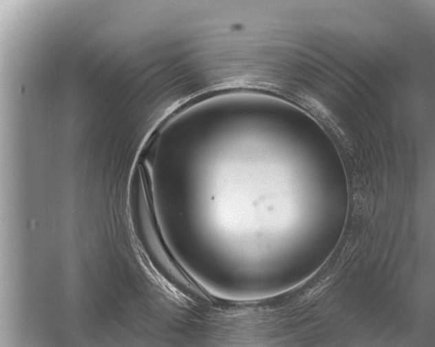 X0000058120892200509301924