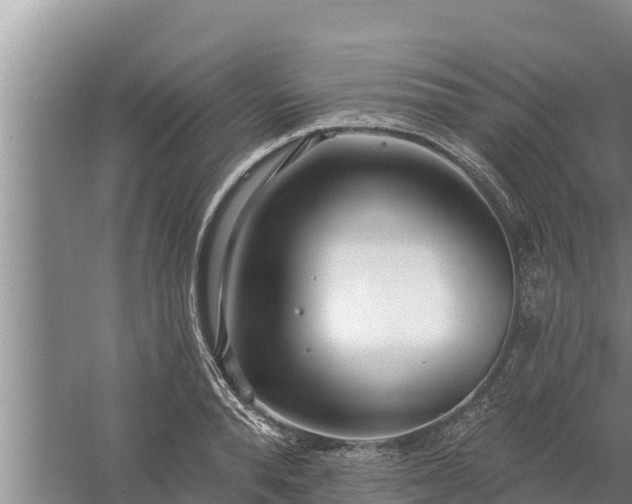 X0000058120896200509301924