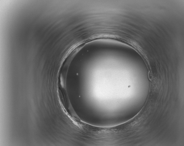 X0000058120898200509301923