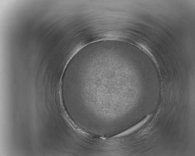 X0000058120899200509301923