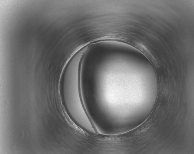 X0000058120900200509301923