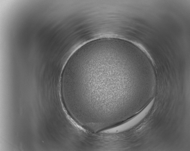 X0000058120903200509301923