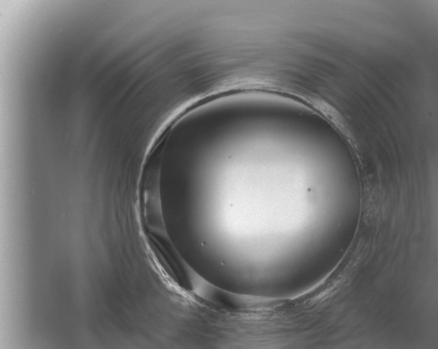 X0000058120904200509301923