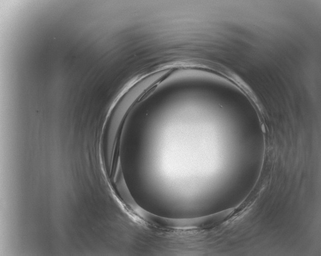 X0000058120909200509301923