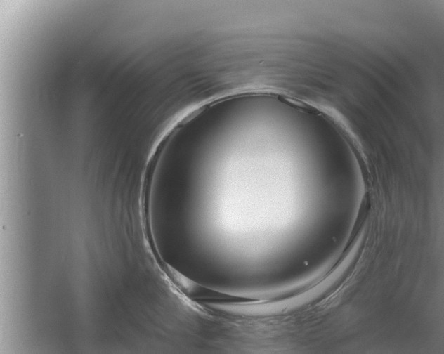 X0000058120910200509301923