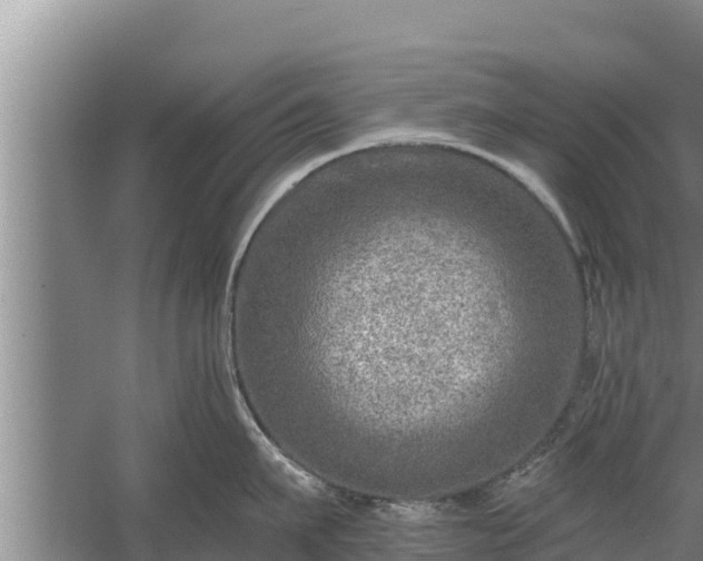 X0000058120911200509301923