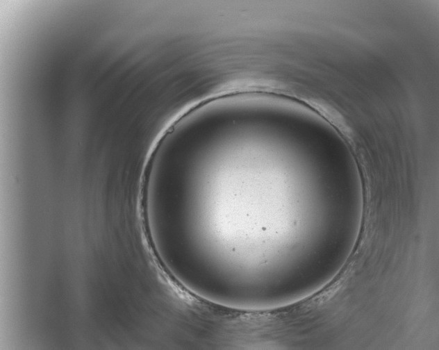 X0000058120912200509301923