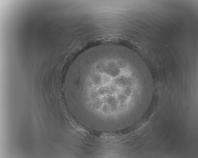 X0000058120913200509301922