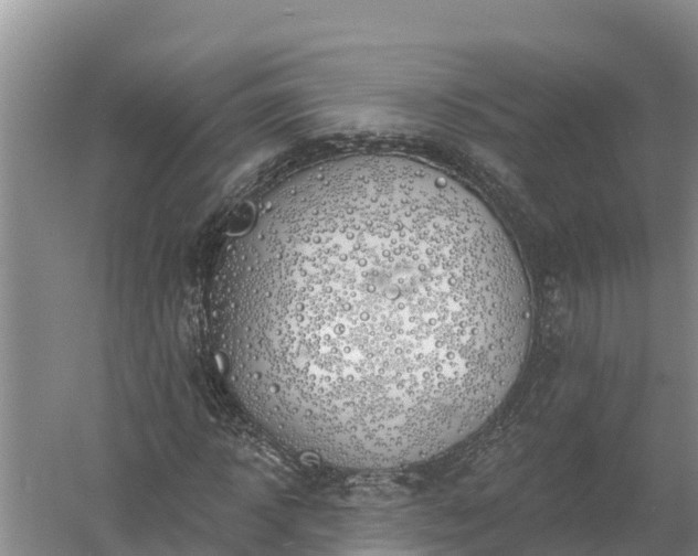 X0000058120918200509301923