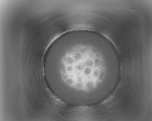 X0000058120925200509301923