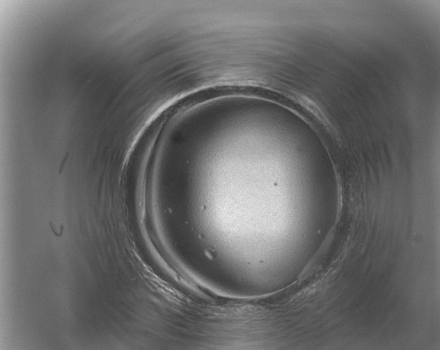 X0000058120926200509301923