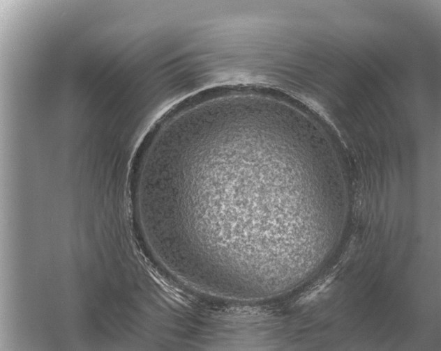 X0000058120927200509301923