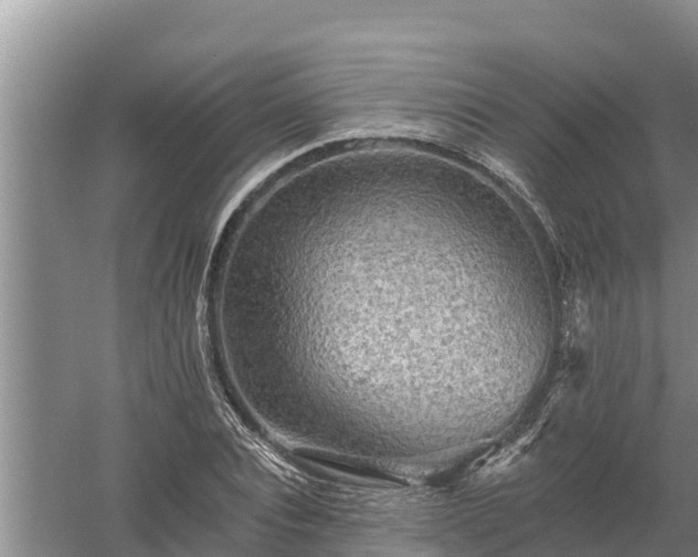 X0000058120928200509301923