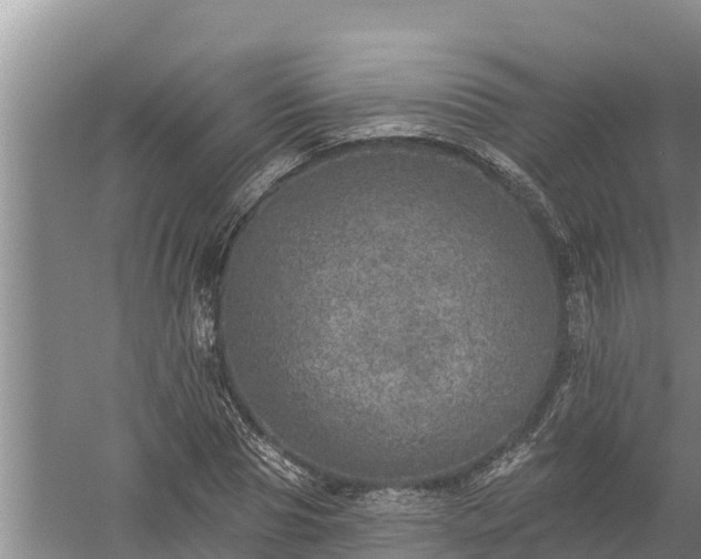 X0000058120929200509301923