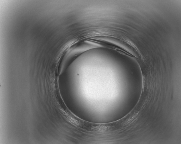 X0000058120930200509301923