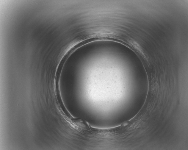 X0000058120932200509301923