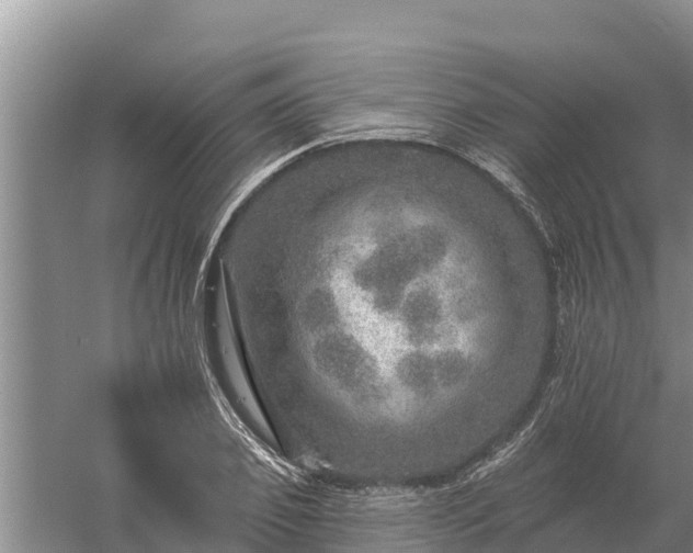 X0000058120933200509301923