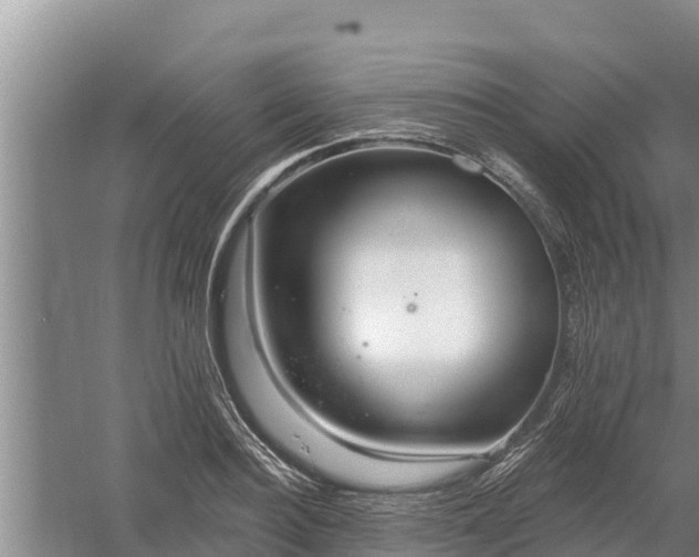 X0000058120940200509301923