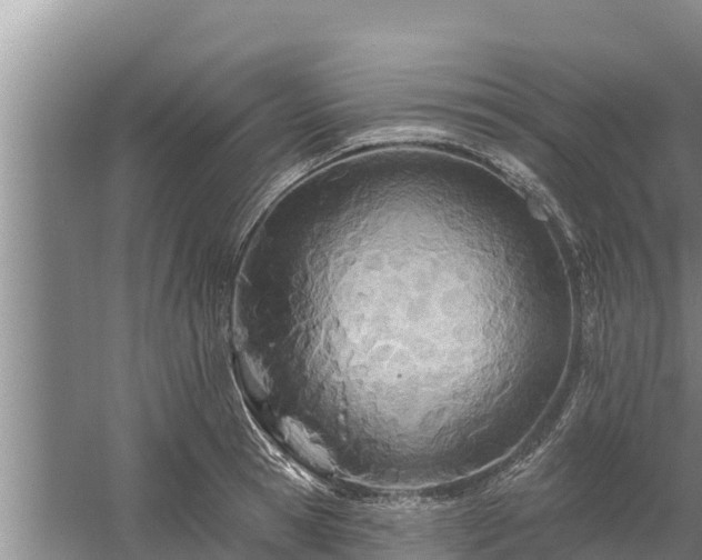 X0000058120945200509301923