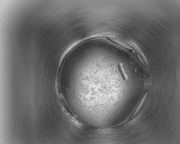 X0000058120952200509301923