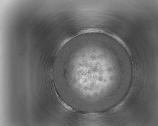 X0000058120953200509301923