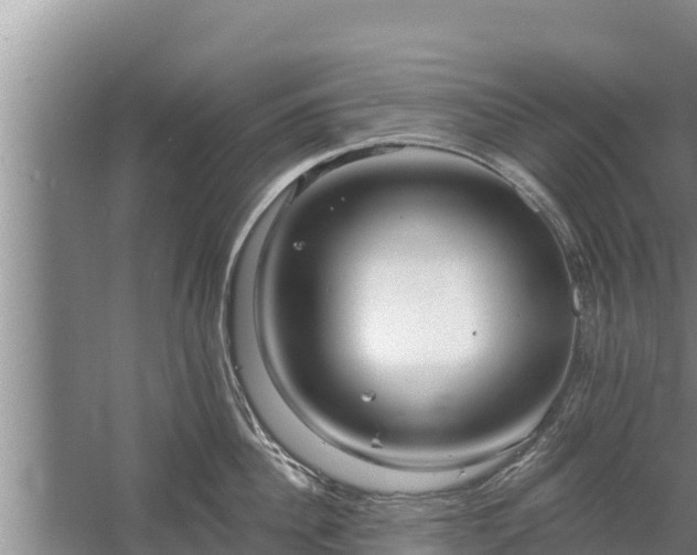 X0000058120956200509301923