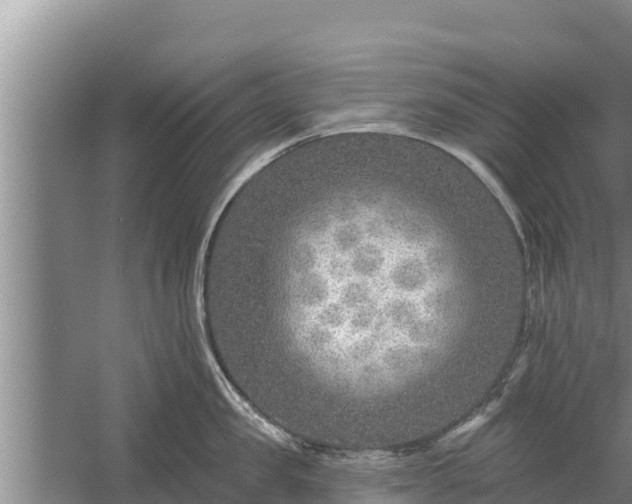 X0000058120957200509301923