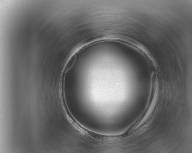 X0000058120958200509301923