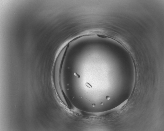 X0000058120960200509301923