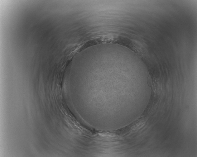 X0000058120962200509301922