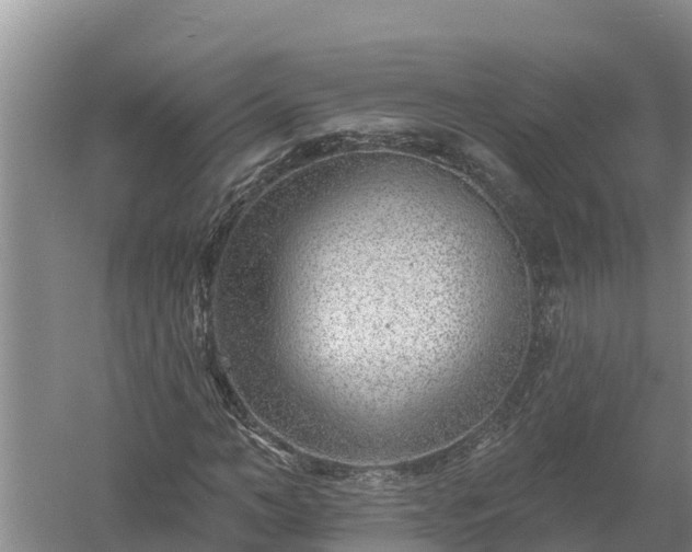 X0000058120966200509301922