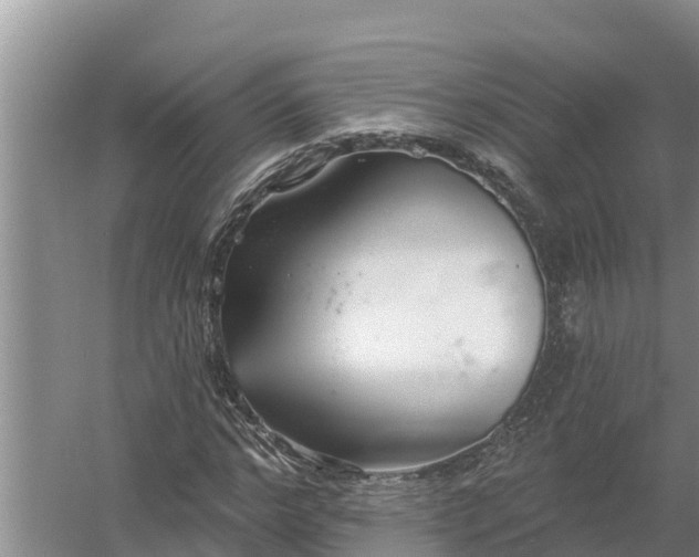 X0000058120968200509301922