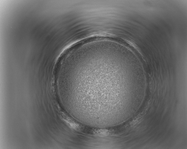 X0000058120971200509301922