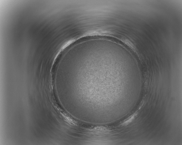 X0000058120974200509301922