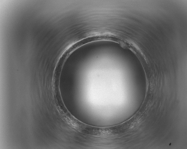 X0000058120975200509301922