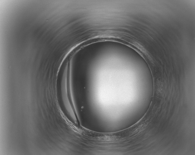 X0000058120980200509301922