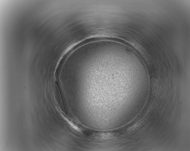 X0000058120982200509301922