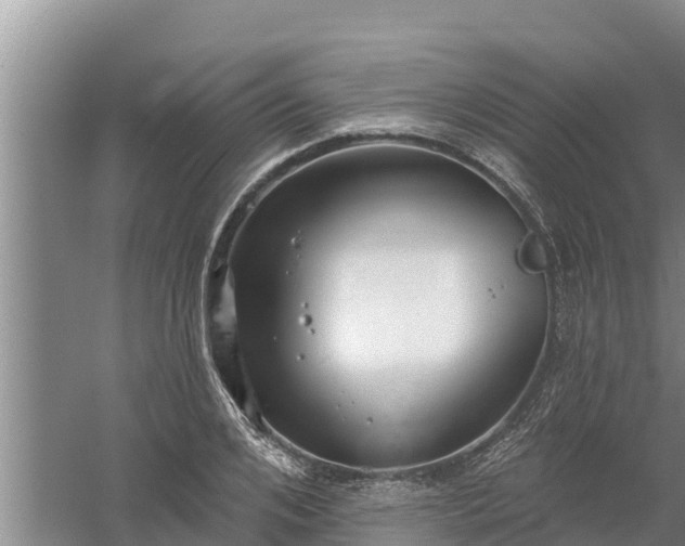 X0000058120984200509301922