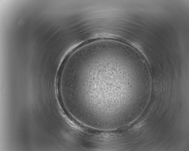 X0000058120987200509301922